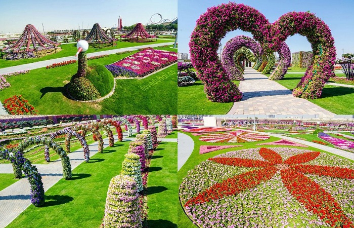 В Дубаи открылся цветочный сад 