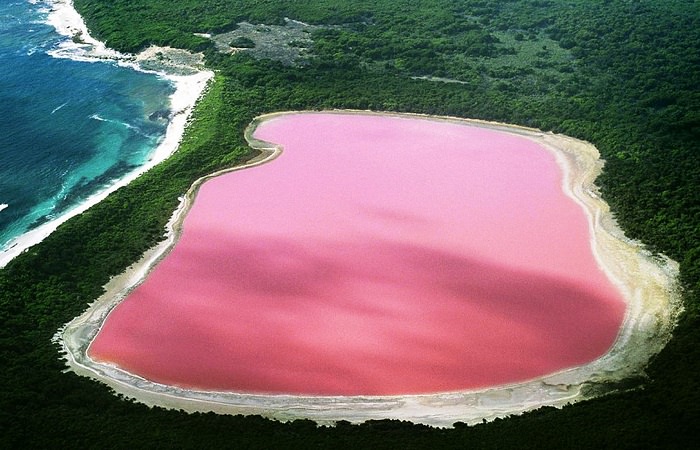 Чудо природы: в Австралии есть розовое озеро